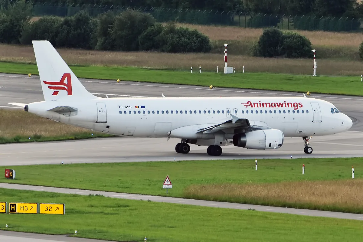 AnimaWings Airbus