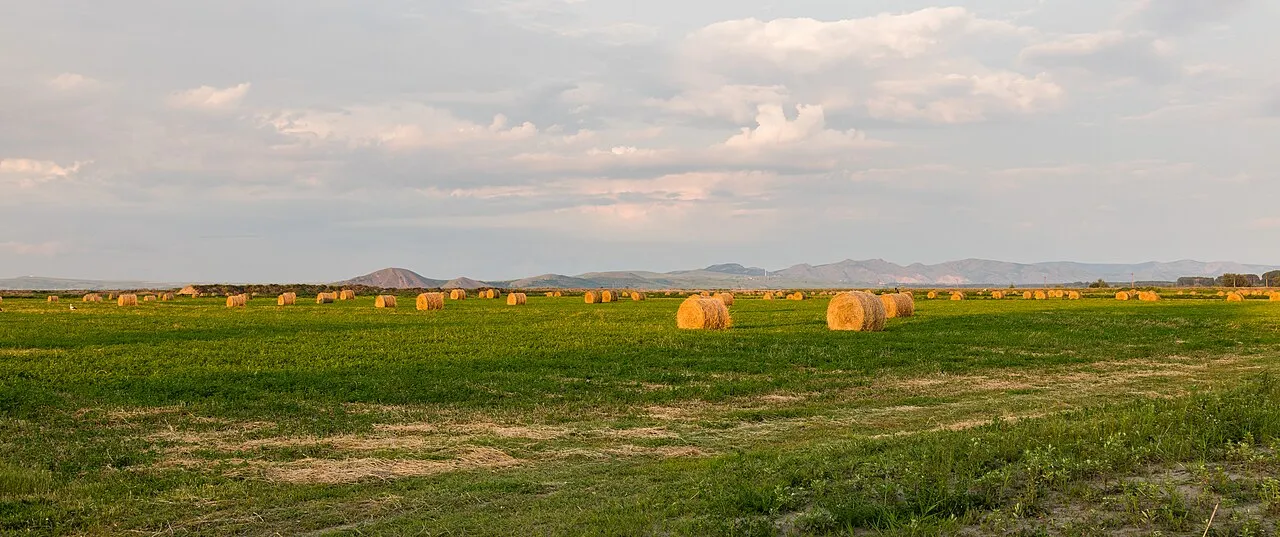 Câmp agricol românesc