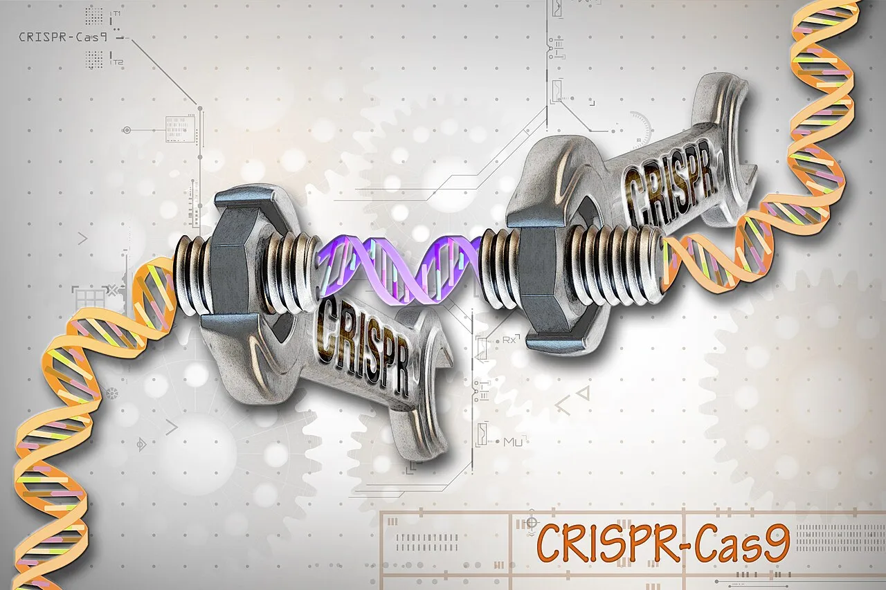 CRISPR Cas9