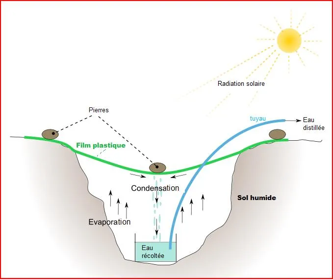 solar water evaporation desalination