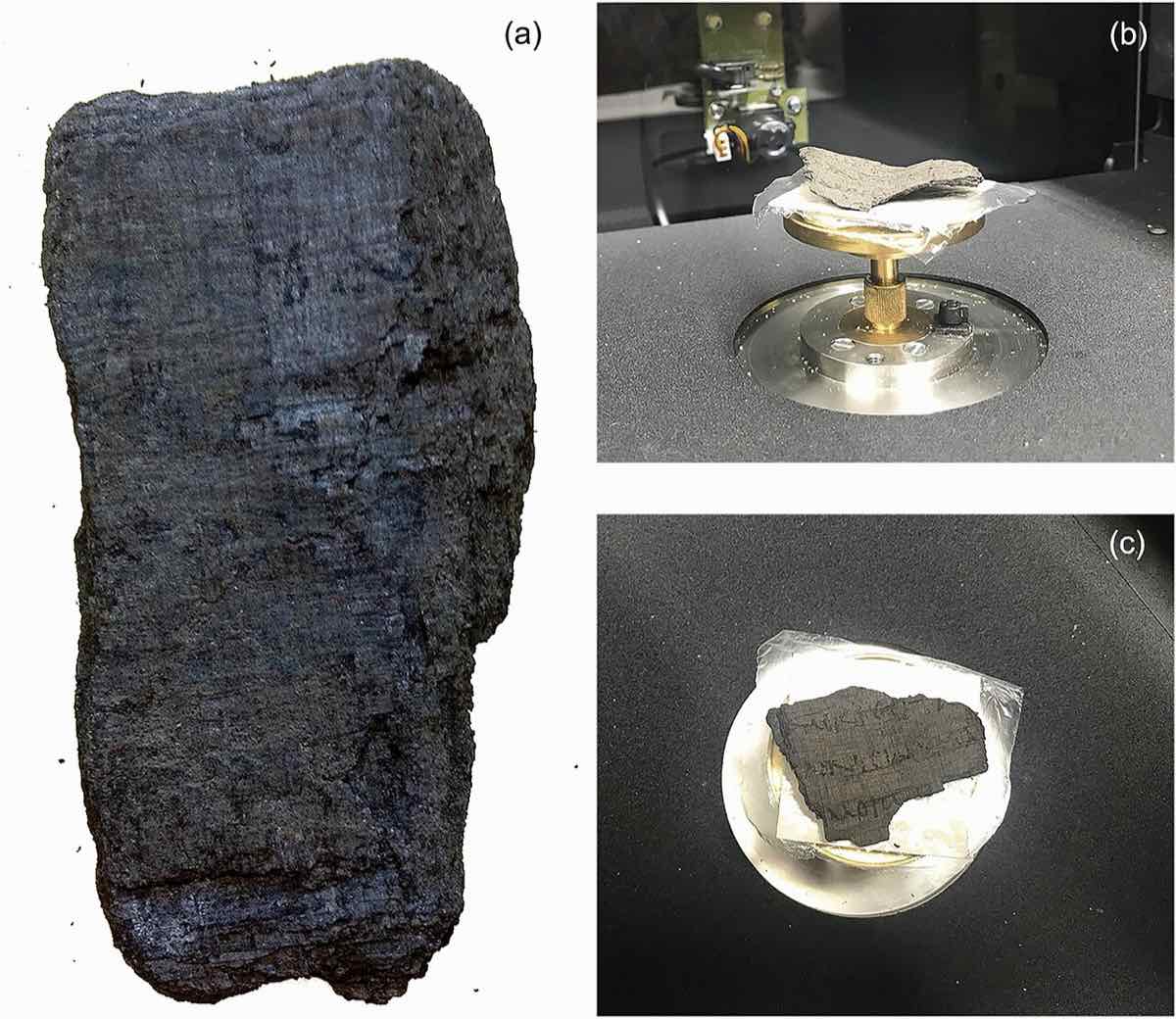 Herculaneum papyri
