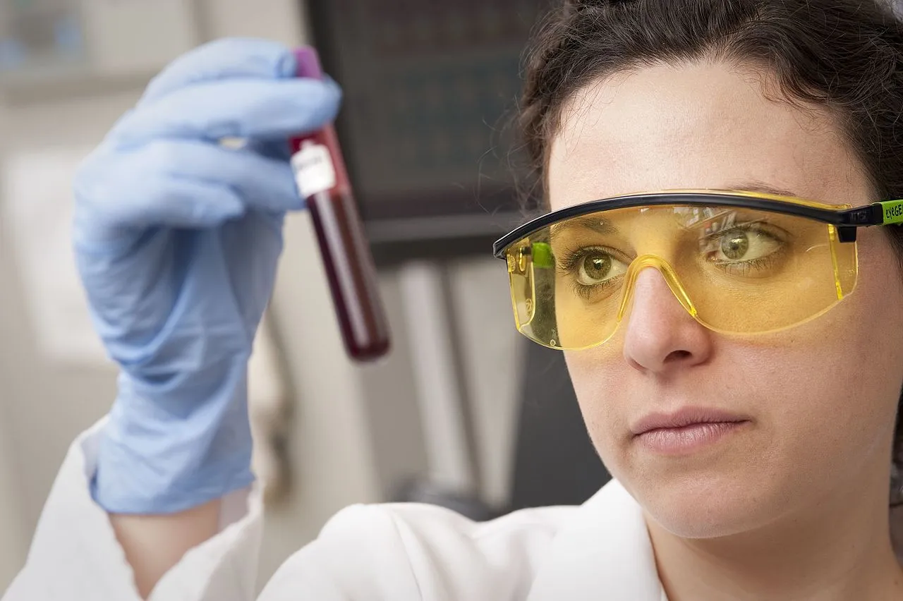 blood sample tubes laboratory